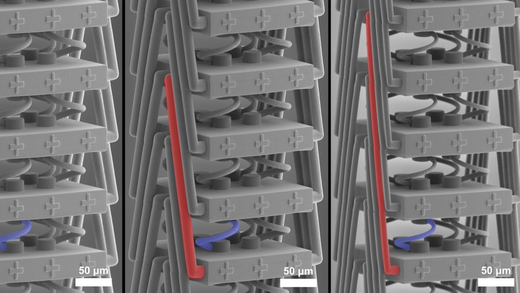 Jonathan Schneider, KIT The new metamaterial viewed with a scanning electron microscope; a special structure (red) enables new stretching properties.