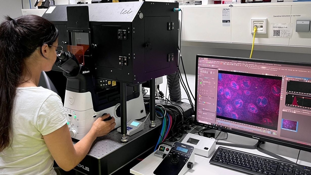To make the behavior of DNA understandable and predictable, the researchers combine lab experiments with computer simulations.
